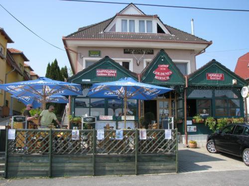 Aranyszarvas-Goldener Hirsch Pension ซาลาคาโรส ห้อง รูปภาพ